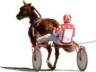 Harness Racing